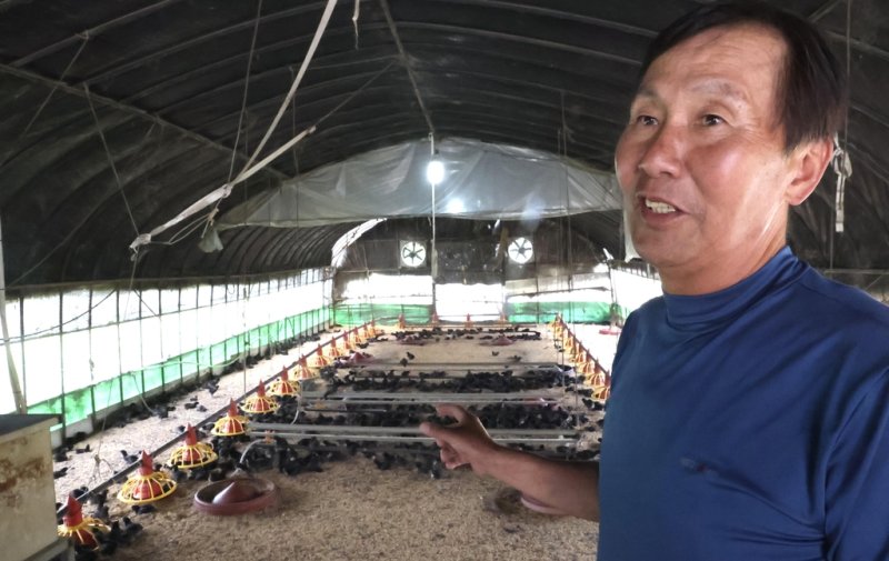 우리맛닭 종계 사육하는 라현환 대표 (부안=연합뉴스) 김진방 기자