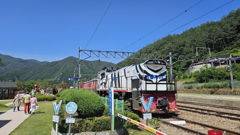 분천역에 정차한 백두대간협곡열차. 박주연 기자 photo@newsis.com *재판매 및 DB 금지