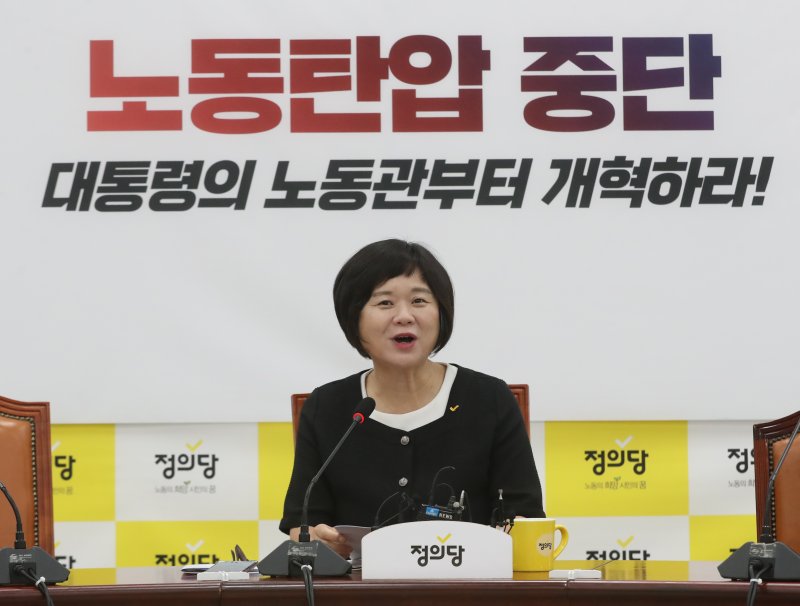 이정미 정의당 대표가 25일 서울 여의도 국회에서 현안 관련 기자간담회를 하고 있다. 사진=뉴스1