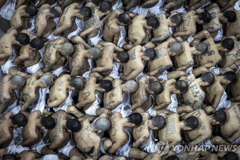 교도소 이감을 기다리며 빽빽이 포개 앉은 엘살바도르 갱단원