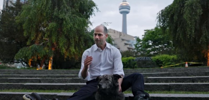 캐나다 토론토 시장선거에 출사표 던진 강아지, 공약 보니