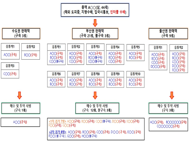 울산남부경찰서가 28일 공개한 마약 범죄조직도