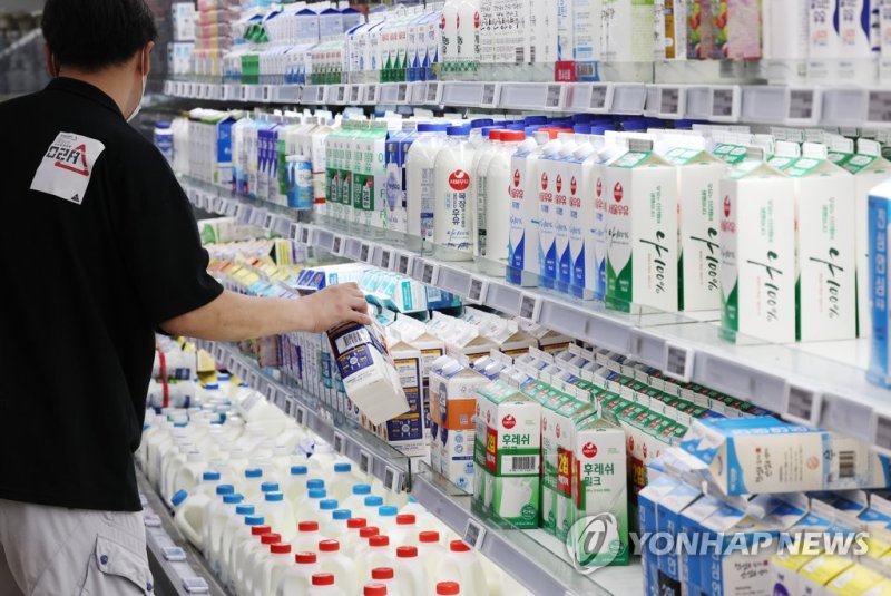 지난 11일 서울 양재동 하나로마트를 찾은 시민이 우유를 고르고 있다. 연합뉴스