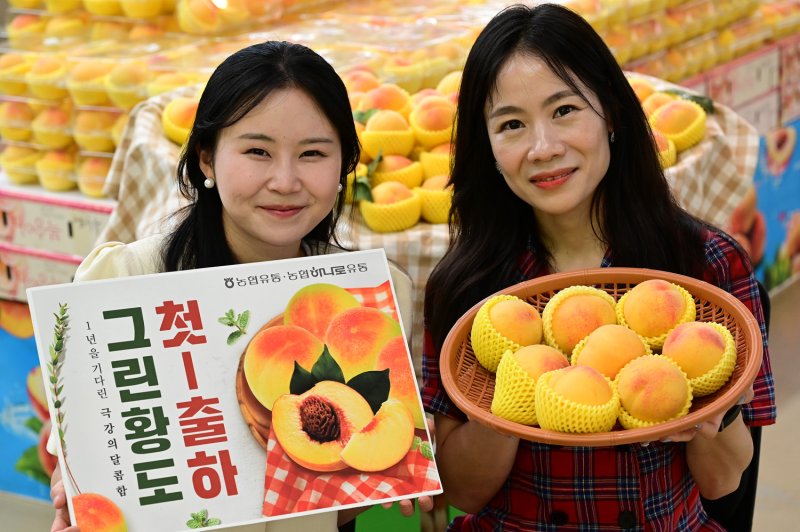 여름에만 맛볼 수 있는 '그린 황도'