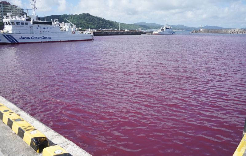 냉각수가 유출돼 붉게 물든 일본 오키나와 앞바다. /사진=류큐신보