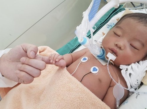 생후 5일만에 의식불명된 3세 아이, 장기기증으로 4명 살리고 하늘의 별이 됐다
