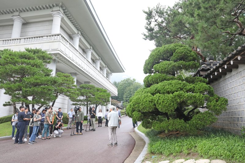 [서울=뉴시스] 박진희 기자 = 박정희 대통령이 1978년 12월 23일 영빈관 준공 기념으로 언 땅을 파고 심은 일본산 가이즈카 향나무(오른쪽). 문화체육관광부는 7월 1일부터 청와대 개방 1주년을 맞아 '수목 탐방 프로그램: 대통령의 나무들'을 운영한다. 청와대 내 역대 대통령의 기념식수 35그루는 대통령들의 취향과 관심, 식수를 하던 당시 상황을 간접적으로 보여줄 예정이다. 2023.06.30. pak7130@newsis.com