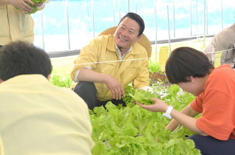 영농 현장에서 일손을 돕고 있는 최영일 전북 순창군수./뉴스1