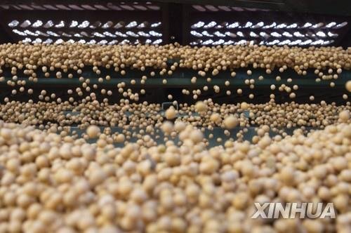 중국 헤이룽장성 대두 가공 공장 [신화=연합뉴스 자료사진]