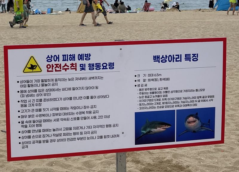속초시가 상어 피해 예방을 위해 속초해수욕장에 안전수칙과 행동요령이 담긴 안내판읅 설치했다. 속초시 제공