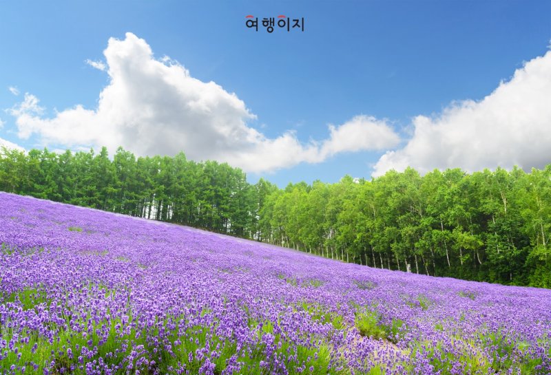 (사진=교원투어 제공)