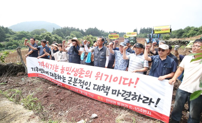전국농민회총연맹 제주도연맹 관계자들이 5일 오전 제주 서귀포시 안덕면의 한 메밀밭에서 기후위기 농업 피해 구제 대책 마련을 촉구하는 기자회견을 하고 있다. 2023.7.5/뉴스1 ⓒ News1 오현지 기자