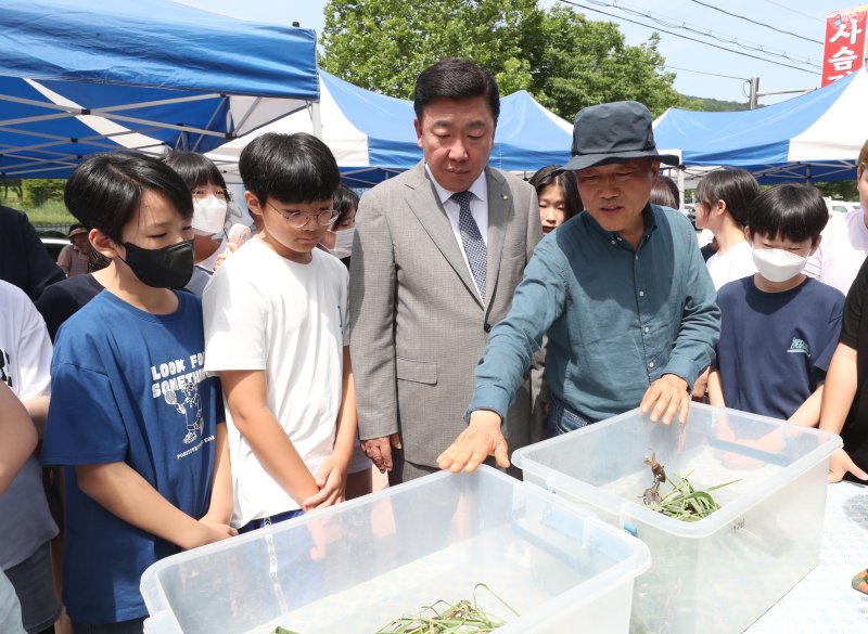 이범석 충북 청주시장(가운데)이 6일 청주 상당산성 자연마당 습지에서 물장군 방사 행사에 참여하고 있다.(청주시 제공).2023.7.6/뉴스1