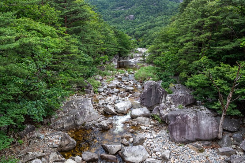 얼음장 계곡물에 발만 담갔을 뿐인데 머리 끝까지 찌릿... 이게 바로 피서의 정석 [Weekend 레저]