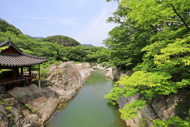 얼음장 계곡물에 발만 담갔을 뿐인데 머리 끝까지 찌릿... 이게 바로 피서의 정석 [Weekend 레저]