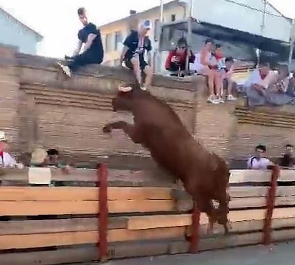 스페인 카스테혼에서 4일(현지 시간) 벌어진 행사에서 성난 황소가 안전 펜스를 뛰어넘어 돌진하는 바람에 부상자가 발생했다. 출처 : @ManelViver *재판매 및 DB 금지