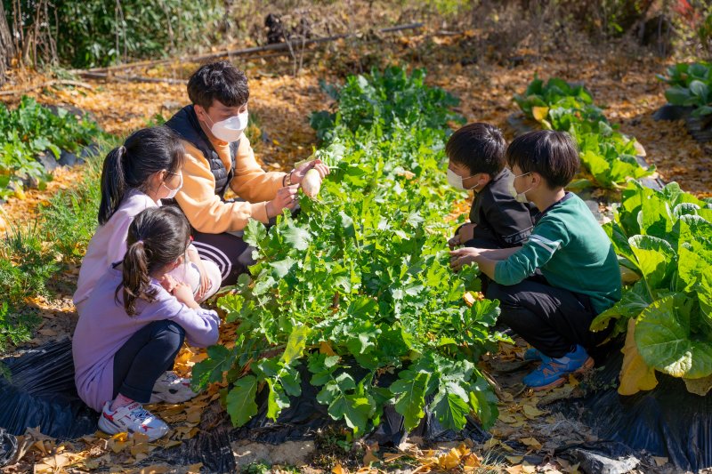 강원에서도 2학기부터 '농촌유학'…서울·강원교육청 맞손 - 파이낸셜뉴스