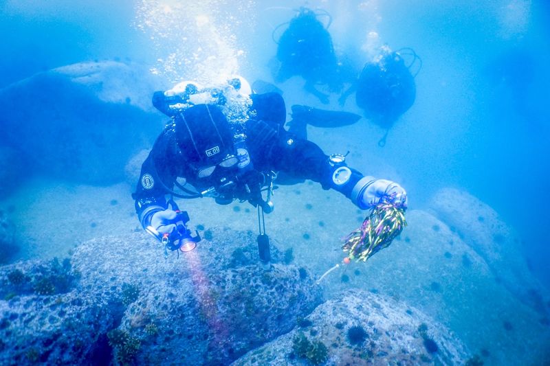 코웨이 직원이 바다에서 쓰레기를 수거하는 플로빙 활동을 진행하고 있다. 코웨이 제공.