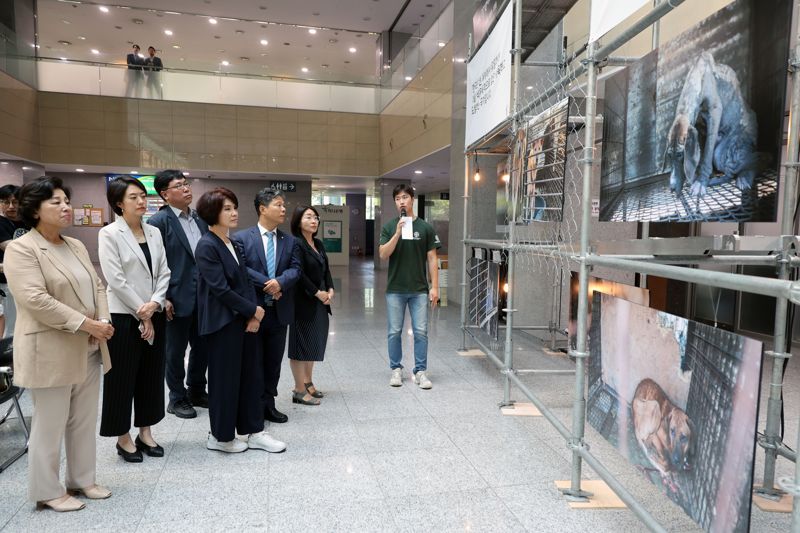 "국민 85% 개고기 먹지 않는다"...개 식용 없는 대한민국[fn영상]