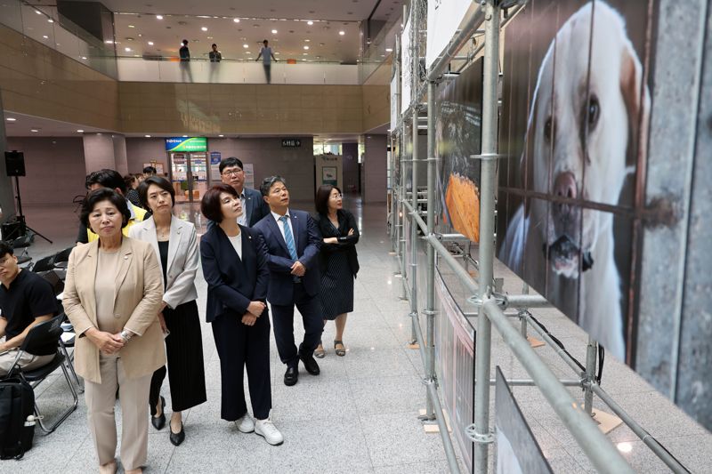 "국민 85% 개고기 먹지 않는다"...개 식용 없는 대한민국[fn영상]