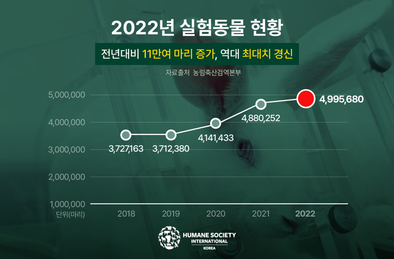 2022년 실험동물 현황. HSI 제공