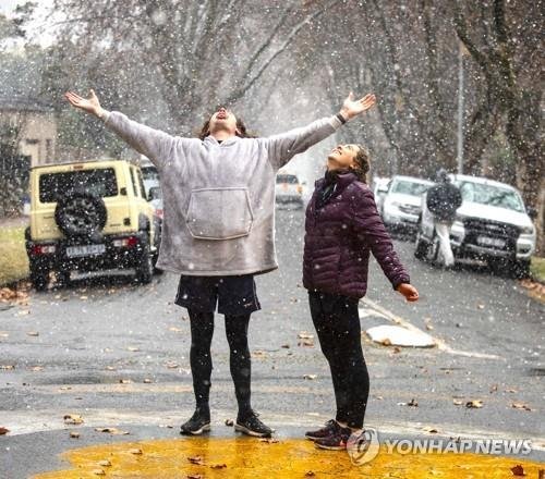 남아공 요하네스버그에 내리는 눈/사진=연합뉴스