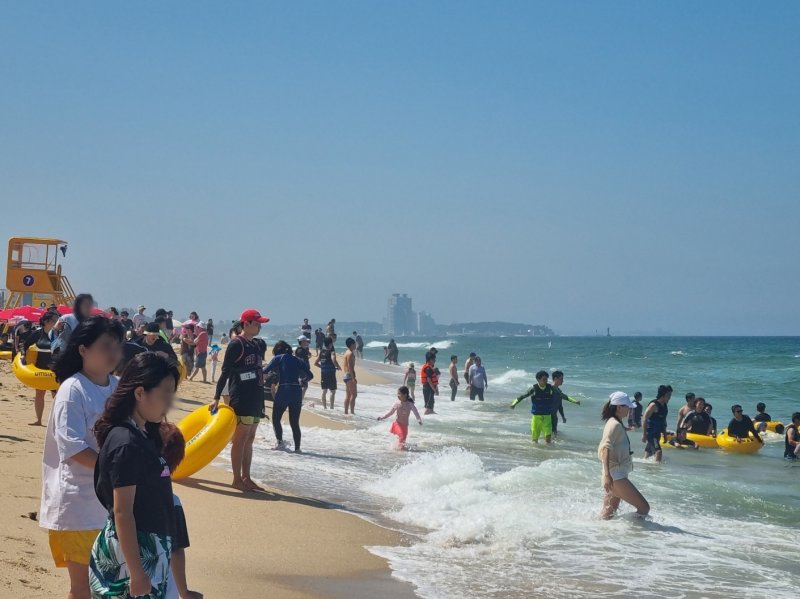 1일 개장한 강원 강릉 경포해수욕장을 방문한 피서객들이 물놀이를 즐기고 있다. 이날 개장한 경포해수욕장은 8월 20일까지 운영된다. 2023.7.1/뉴스1 ⓒ News1 윤왕근 기자