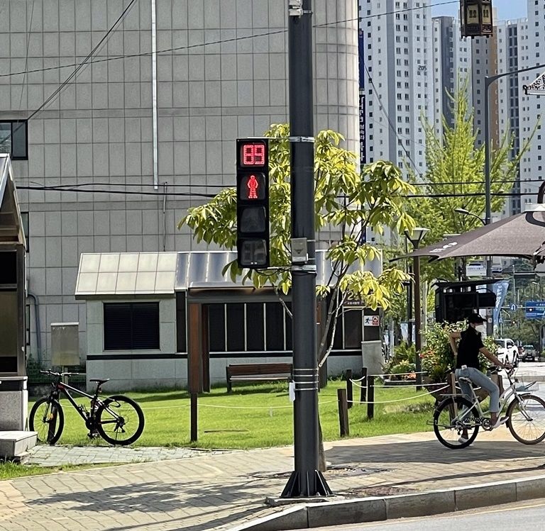 의정부시청앞 횡단보도에 설치된 네칸신호등. 의정부시 제공