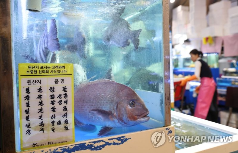 일본 후쿠시마 원전 오염수 방류 계획으로 국내 수산물 소비가 위축되는 가운데 10일 오후 서울 동작구 노량진수산시장의 한 점포에 일본산 물고기가 헤엄치고 있다. 연합뉴스