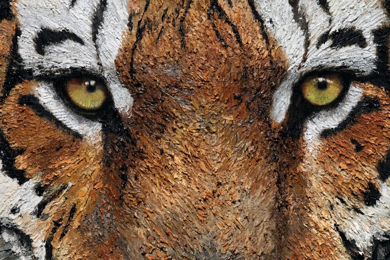 [서울=뉴시스] 박진희 기자 = ‘아트픽(Art Pick) 30’ 참여 작가 김남표 작품 부분 확대. 바늘과 이쑤시개로 한올 한올로 형상을 만들어내는가 하면, 손가락은 붓보다 더한 도구다. 나무를 만들고 호랑이의 위엄을 탄생시킨다. 그가 검은 인조모에 바늘을 세워 그린(스크래칭 기법) '검은 풍경화'는 눈을 의심케 할 정도로 극치의 미학을 전한다. 순간적 음영을 통해 이미지가 드러나는데, 손으로 슥 문지르면 끝장이다. 그의 그림의 모든 화두에 ‘즉(卽, instant)’이라는 개념을 선사하는 이유다. 2023.07.15. pak71