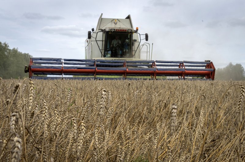 지난 2022년 8월9일 우크라이나 즈후리브카 마을에서 밀이 수확되고 있다. 러시아는 17일 우크라이나가 아프리카와 중동, 아시아 국가들로 곡물을 수출할 수 있도록 허용하는 협정을 중단했다고 발표했다. 사진=뉴시스