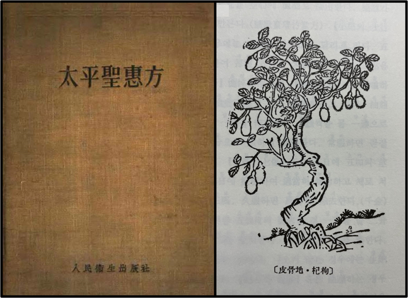 구기자 이야기가 적혀 있는 <태평성혜방(太平聖惠方)>(왼쪽)과 <본초강목(本草綱目)>에 그려진 구기자나무의 구기자(枸杞子)와 지골피(地骨皮).