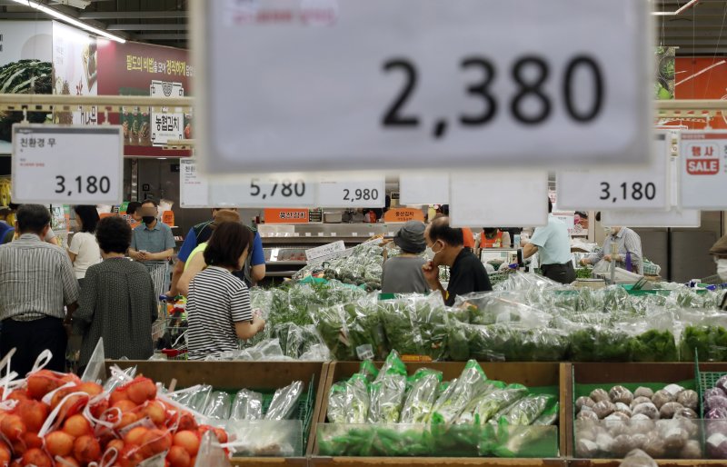 집중호우, 폭염으로 상추 등 채소류 도매가격이 오르면서 장바구니 물가에도 영향을 미치고 있는 가운데 23일 서울의 한 대형마트를 찾은 시민들이 채소류를 살피고 있다. 뉴시스
