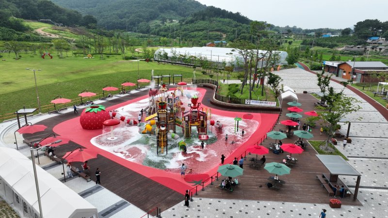 논산 딸기향 농촌테마파크 물놀이장 전경. / 뉴스1