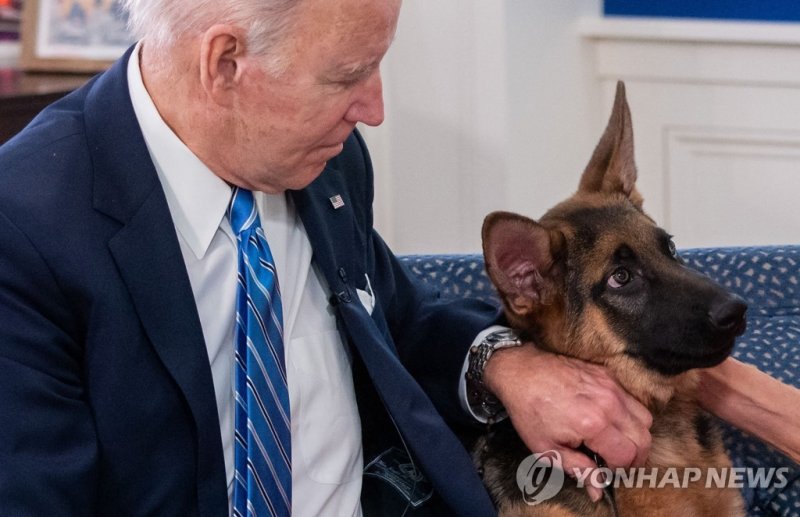 조 바이든 미국 대통령의 반려견 '커맨더'. 사진=연합뉴스