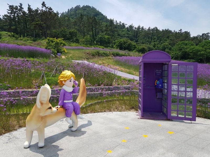 신안 퍼플섬 어린왕자 ⓒ News1 김태성 기자