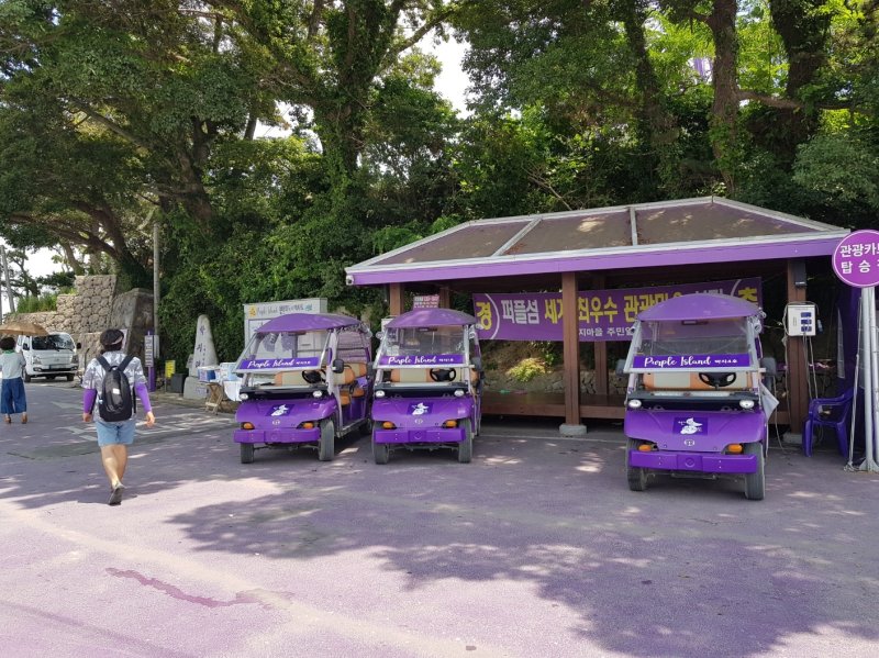 신안 퍼플섬 관광카트 /뉴스1 ⓒ News1 김태성 기자