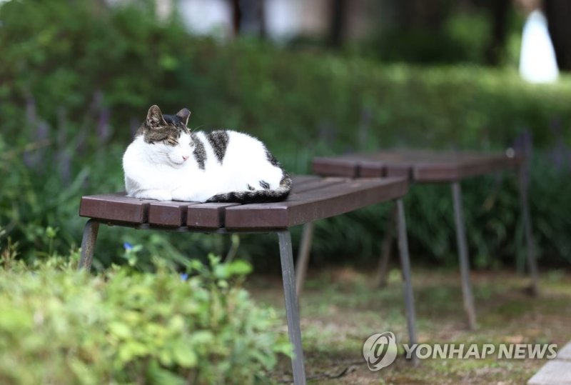 하루키와 나의 사적인 이야기 1화 [이환주의 아트살롱]