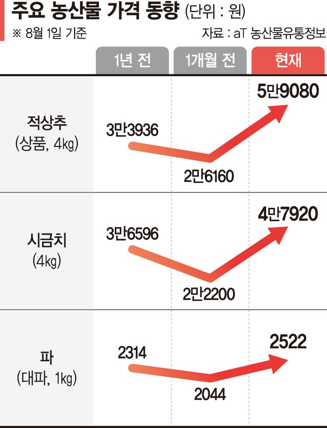 "쌈 없는 삼겹살 먹을 판"… 집중호우에 채소값 2배 치솟아 [7월 소비자물가 2.3% 상승]