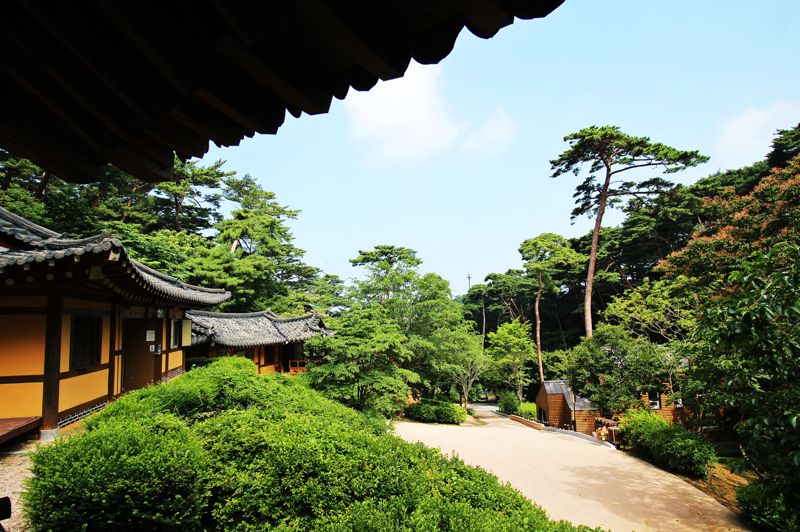 충남 태안 안면도자연휴양림은 수령 100여년 내외의 안면송과 함께 한옥 숙박을 할 수 있는 휴식 명소다. 한국관광공사 제공
