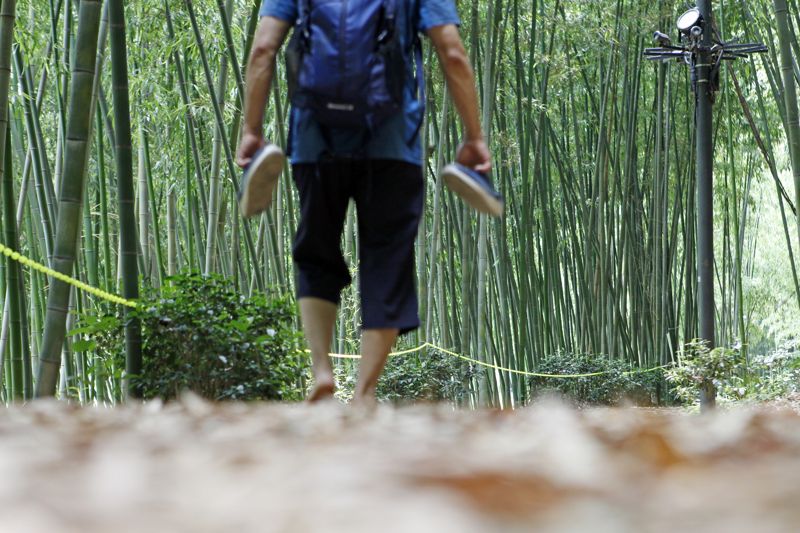 전남 구례 섬진강대숲길은 신발을 벗고 땅의 기운을 느끼며 맨발로 걷기에도 좋다. 한국관광공사 제공