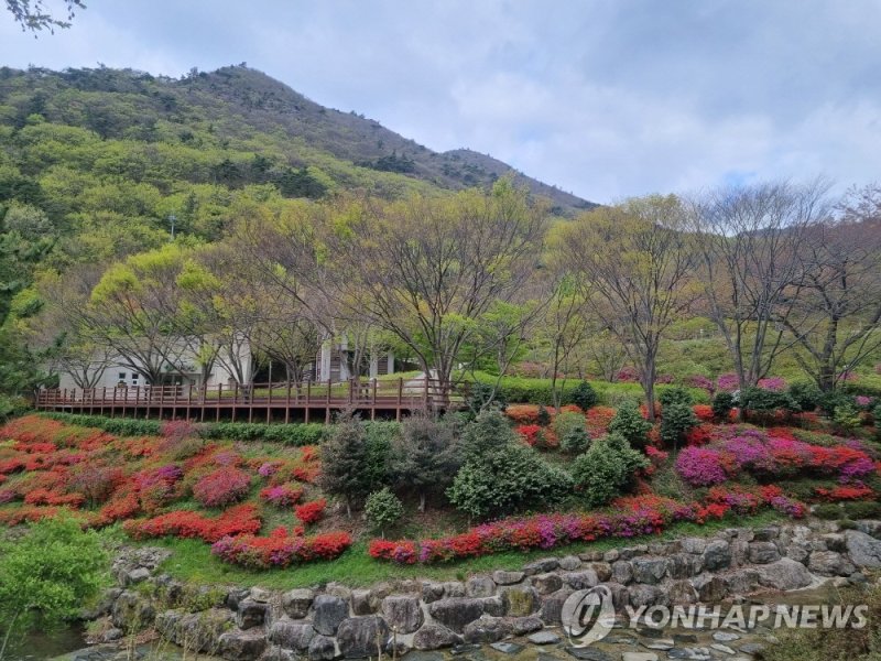 흑석산자연휴양림 [해남군 제공·재판매 및 DB 금지]