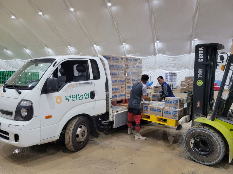 농협중앙회 새만금 잼버리에 얼음물 등 5억상당 물품지원