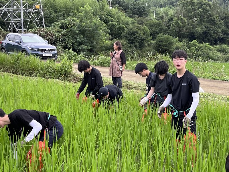 강진 전남생명과학고등학교(교장 정태원)- 여름방학을 맞아 7월 24일(월)부터 5일간 전남 보성에서 농업 현장실습교육을 실시했다.(전남교육청 제공)/뉴스1