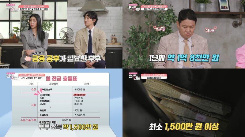 자이언트핑크·한동훈 부부, 월 수입 1500만원 집 금고에 현금 보관