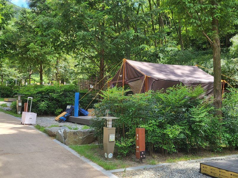 7일 진밭골 야영장 모습.2023.8.7/뉴스1 ⓒ News1 이성덕 기자