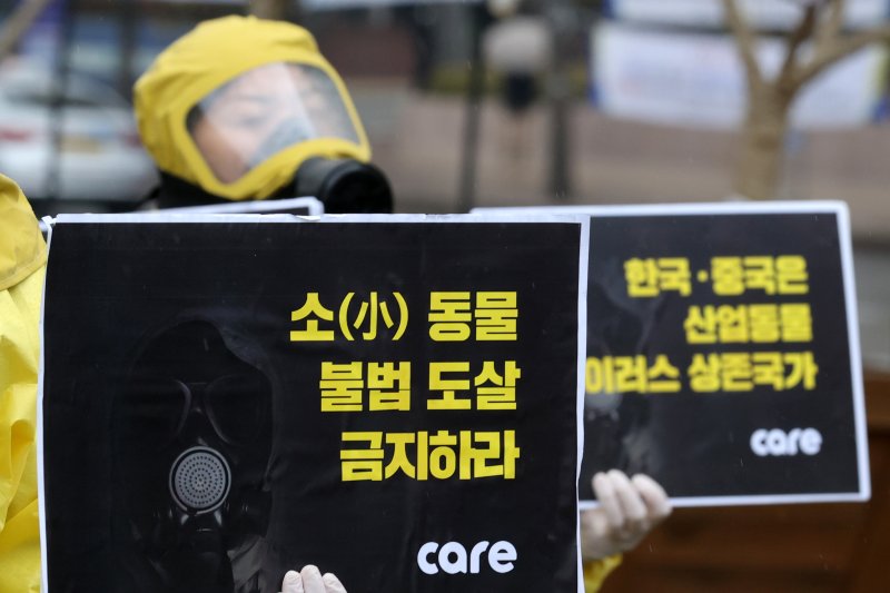 '갈비사자'가 쏘아올린 '동물권 논쟁'...부실 동물원 폐쇄가 답일까?[입장들어봤습니다]