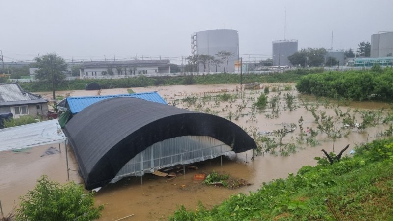 제6호 태풍 '카눈'이 상륙한 10일 오전 9시45분쯤 대구 수성구 성동 비닐하우스가 물에 잠겨 소방대원이 장비를 동원해 물을 빼고 있다. (대구소방안전본부 제공) 2023.8.10/뉴스1 ⓒ News1 이성덕 기자