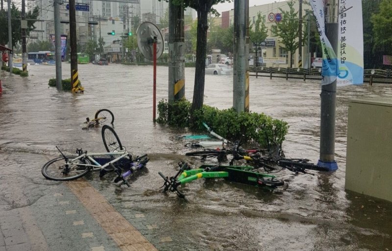 인천 부평경찰서 인근 도로에 공유형 전동킥보드와 자전거가 넘어져 있다. (독자제공) 2022.8.8/뉴스1
