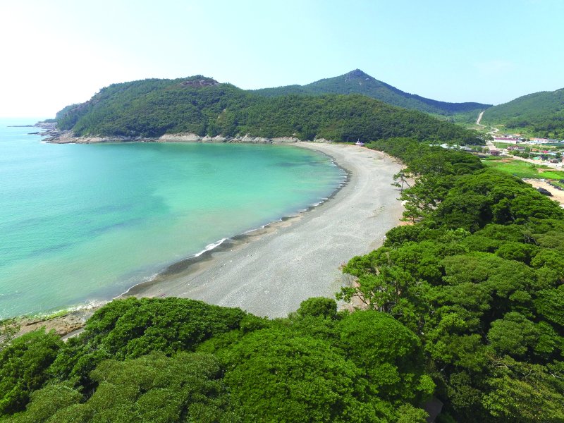 완도 소안도 미라리 상록수림(소안면사무소 제공)/뉴스1